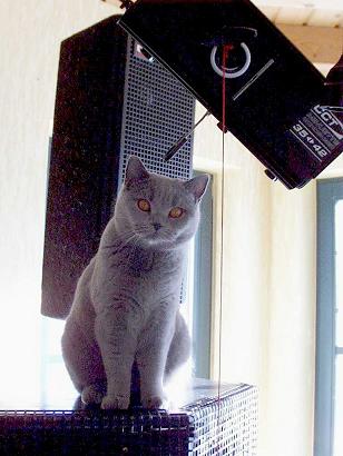 Laura - die Sound Expertin mit dem Absoluten Gehör Laura - die Sound Expertin mit dem Absoluten Gehör