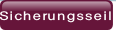 Sicherungsseil.